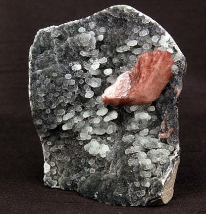 Heulandite Crystal on Stalactite of Chalcedony Natural Minerals Specim…  https://www.superbminerals.us/products/heulandite-crystal-on-stalactite-of-chalcedony-natural-minerals-specimen-b-1405  Features: A striking doubly terminated heulandite crystal is dramatically set in the sculptural, well-prepared vug in basalt lined with strikingly contrasting sparkly gray drusy chalcedony. The stunning glassy, pearlescent, translucent parallel-growth bladed heulandite has beautiful rich coral-pink color