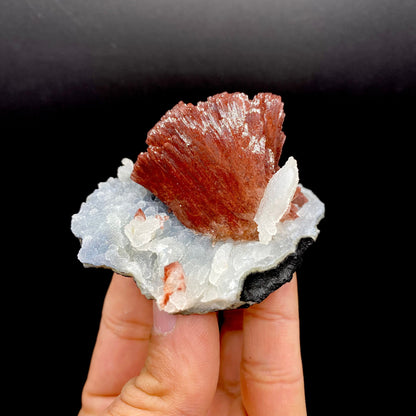 Heulandite DK99 Superb Minerals 