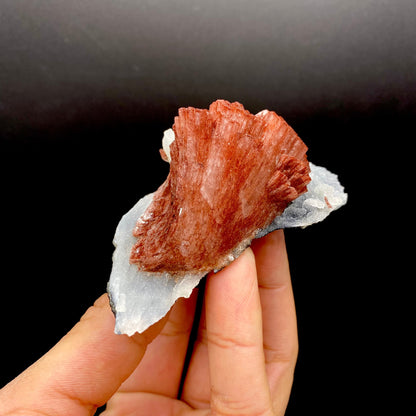 Heulandite DK99 Superb Minerals 