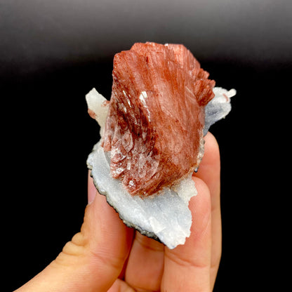 Heulandite DK99 Superb Minerals 