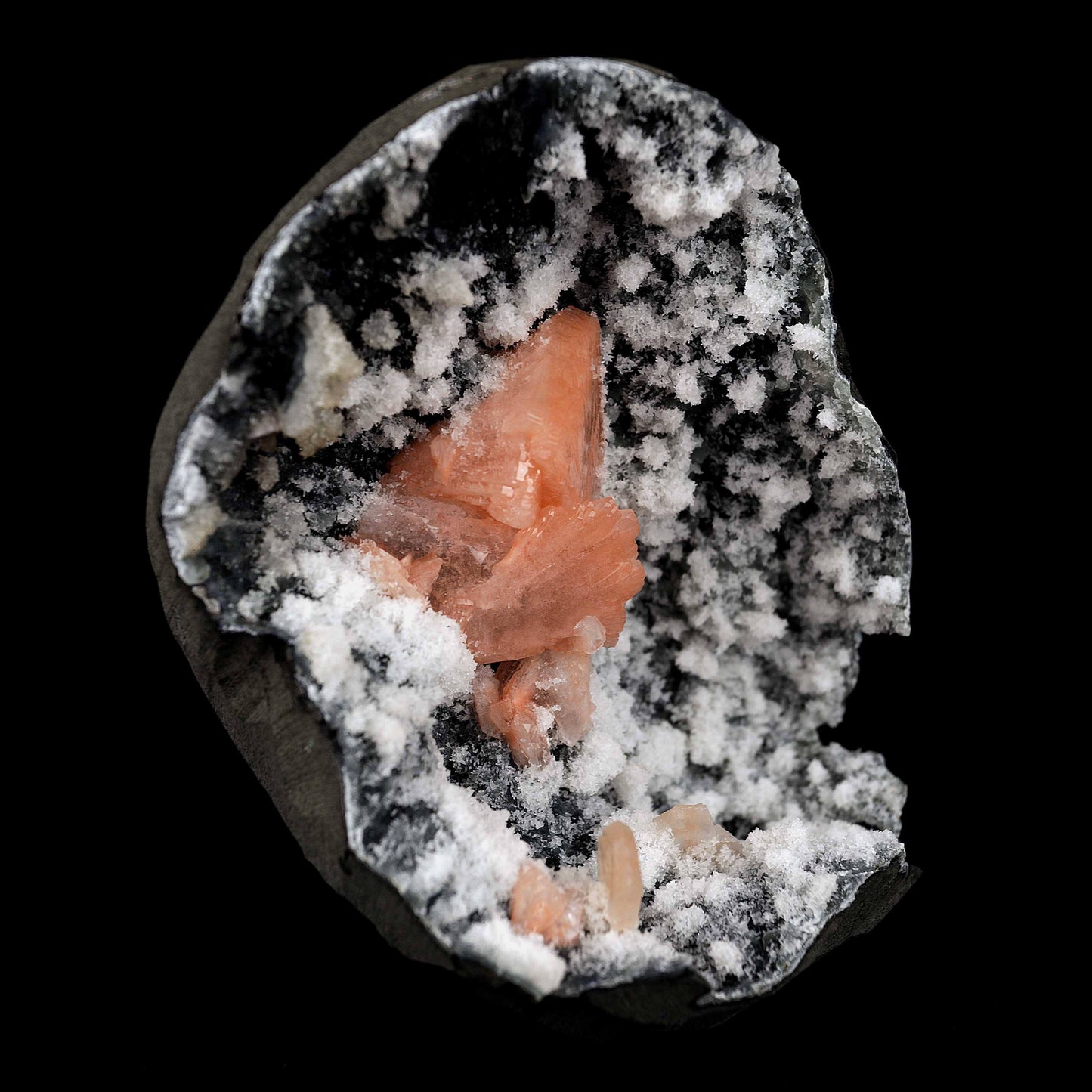 Heulandite Petal with Stilbite Inside Chalcedony Geode Natural Mineral…  https://www.superbminerals.us/products/heulandite-petal-with-stilbite-inside-chalcedony-geode-natural-mineral-b-4227  Features:A striking,1.4 cm, doubly terminated heulandite crystal is dramatically set in the sculptural, well-prepared vug in basalt lined with strikingly contrasting sparkly gray drusy chalcedony. The stunning glassy, pearlescent, translucent parallel-growth bladed heulandite has beautiful rich coral-pink color 