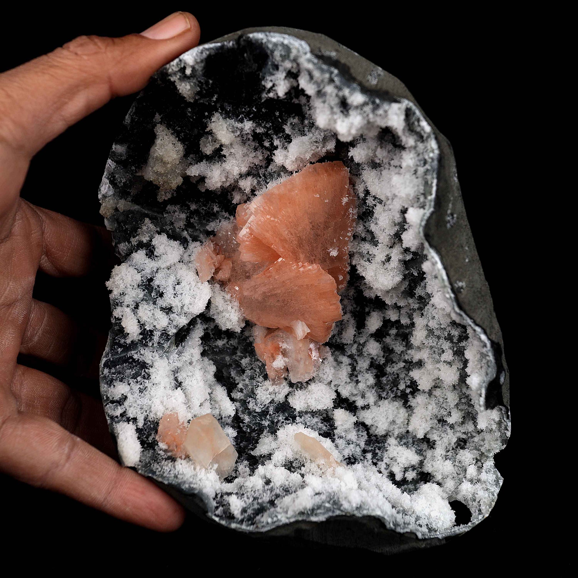 Heulandite Petal with Stilbite Inside Chalcedony Geode Natural Mineral…  https://www.superbminerals.us/products/heulandite-petal-with-stilbite-inside-chalcedony-geode-natural-mineral-b-4227  Features:A striking,1.4 cm, doubly terminated heulandite crystal is dramatically set in the sculptural, well-prepared vug in basalt lined with strikingly contrasting sparkly gray drusy chalcedony. The stunning glassy, pearlescent, translucent parallel-growth bladed heulandite has beautiful rich coral-pink color 