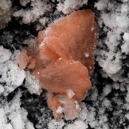 Heulandite Petal with Stilbite Inside Chalcedony Geode Natural Mineral…  https://www.superbminerals.us/products/heulandite-petal-with-stilbite-inside-chalcedony-geode-natural-mineral-b-4227  Features:A striking,1.4 cm, doubly terminated heulandite crystal is dramatically set in the sculptural, well-prepared vug in basalt lined with strikingly contrasting sparkly gray drusy chalcedony. The stunning glassy, pearlescent, translucent parallel-growth bladed heulandite has beautiful rich coral-pink color 