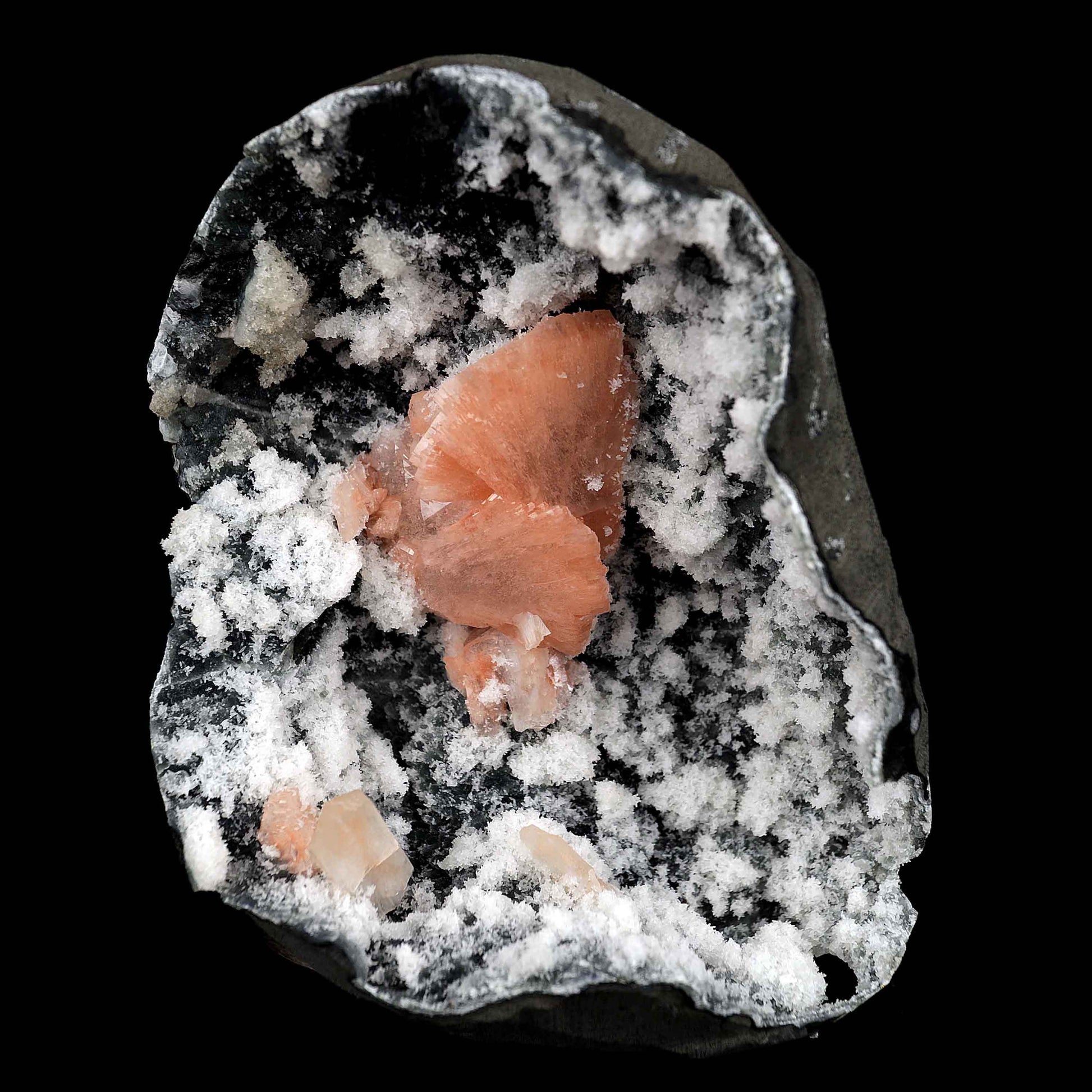 Heulandite Petal with Stilbite Inside Chalcedony Geode Natural Mineral…  https://www.superbminerals.us/products/heulandite-petal-with-stilbite-inside-chalcedony-geode-natural-mineral-b-4227  Features:A striking,1.4 cm, doubly terminated heulandite crystal is dramatically set in the sculptural, well-prepared vug in basalt lined with strikingly contrasting sparkly gray drusy chalcedony. The stunning glassy, pearlescent, translucent parallel-growth bladed heulandite has beautiful rich coral-pink color 