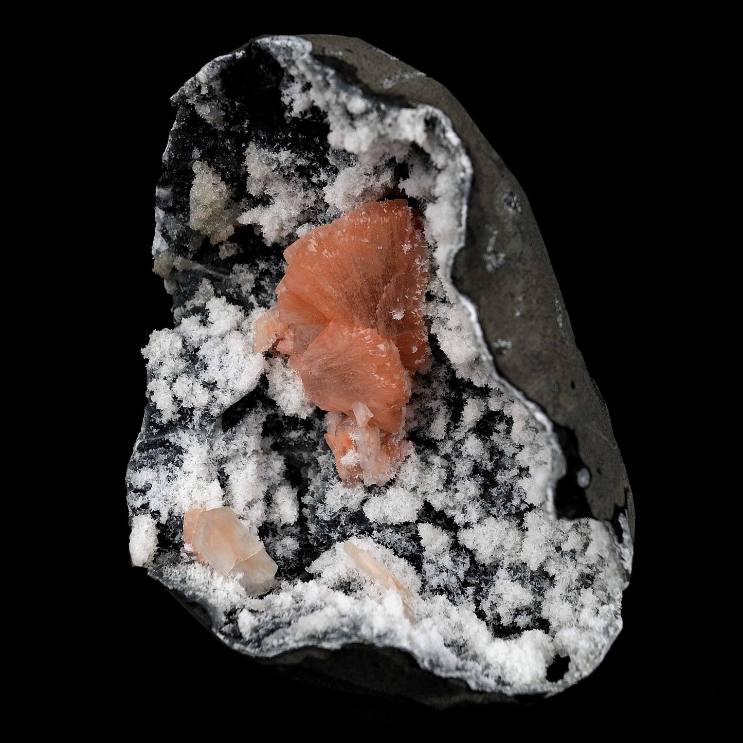 Heulandite Petal with Stilbite Inside Chalcedony Geode Natural Mineral…  https://www.superbminerals.us/products/heulandite-petal-with-stilbite-inside-chalcedony-geode-natural-mineral-b-4227  Features:A striking,1.4 cm, doubly terminated heulandite crystal is dramatically set in the sculptural, well-prepared vug in basalt lined with strikingly contrasting sparkly gray drusy chalcedony. The stunning glassy, pearlescent, translucent parallel-growth bladed heulandite has beautiful rich coral-pink color 