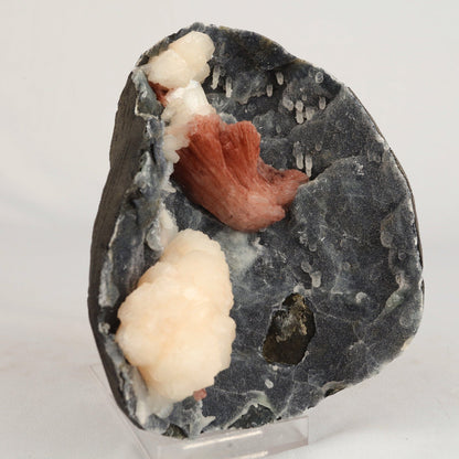 Heulandite Petals with Stilbite in Chalcedony geode Natural Mineral Specimen # B 6608 Heulandite Superb Minerals 