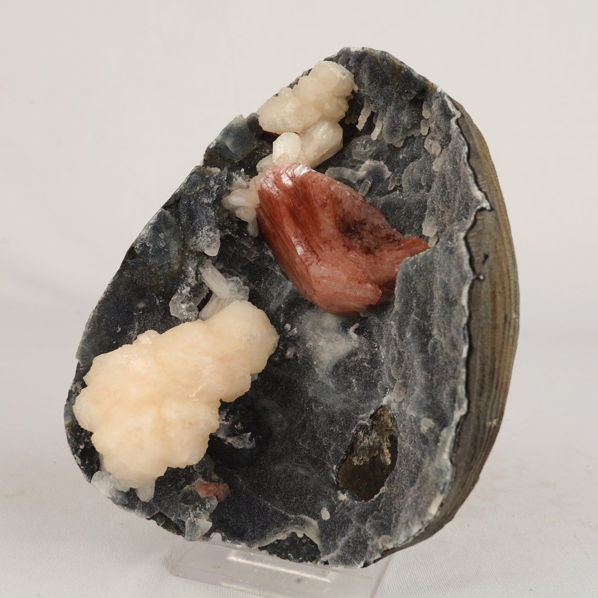Heulandite Petals with Stilbite in Chalcedony geode Natural Mineral Specimen # B 6608 Heulandite Superb Minerals 