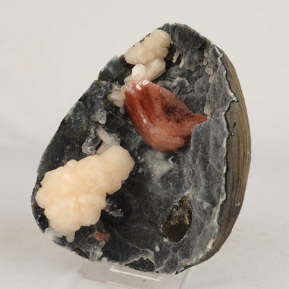 Heulandite Petals with Stilbite in Chalcedony geode Natural Mineral Specimen # B 6608 Heulandite Superb Minerals 