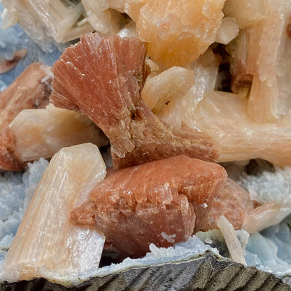 Heulandite with Stilbite on Chalcedony Big Cluster # Q10  https://www.superbminerals.us/products/heulandite-with-stilbite-on-chalcedony-big-cluster-q10  Features:Killer specimen of chocolate brown translucent Huelandite crystal double terminated in a u shape along with Stilbite crystals on druzy quartz var. chalcedony in small stalactitic formations lined its matrix. The heulandite is in pristine condition, with glassy luster faces all around. 