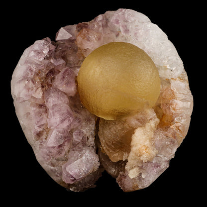 Huge Botryoidal Fluorite on Amethyst Very Rare Natural Mineral Specimen # B 6653 Fluorite Superb Minerals 