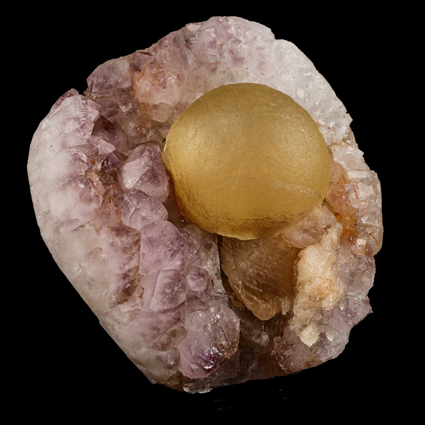 Huge Botryoidal Fluorite on Amethyst Very Rare Natural Mineral Specimen # B 6653 Fluorite Superb Minerals 