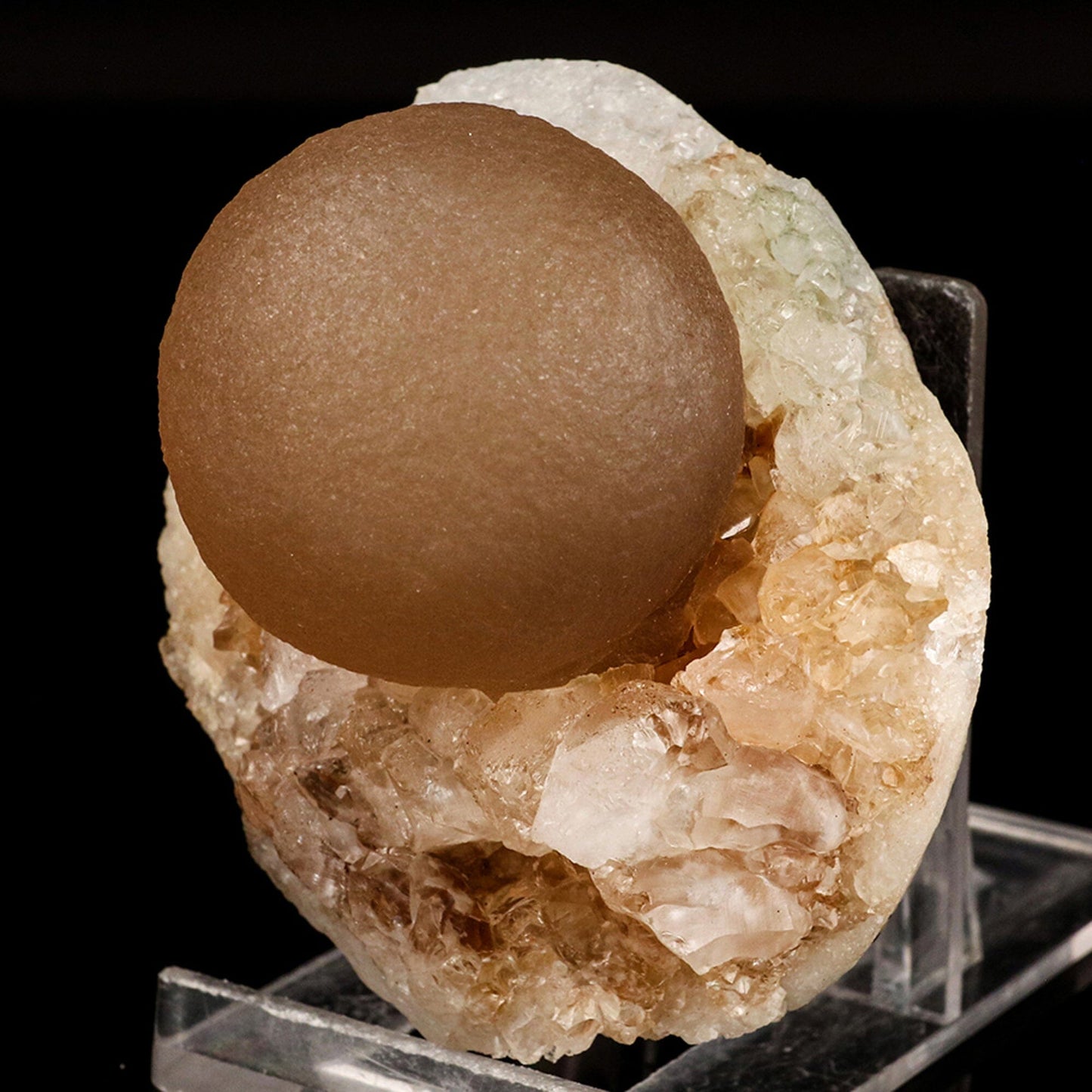Huge Botryoidal Fluorite on MM Quartz Very Rare Natural Mineral Specimen # B 6681 Fluorite Superb Minerals 