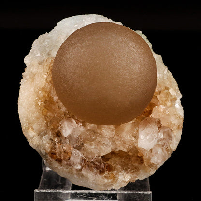 Huge Botryoidal Fluorite on MM Quartz Very Rare Natural Mineral Specimen # B 6681 Fluorite Superb Minerals 