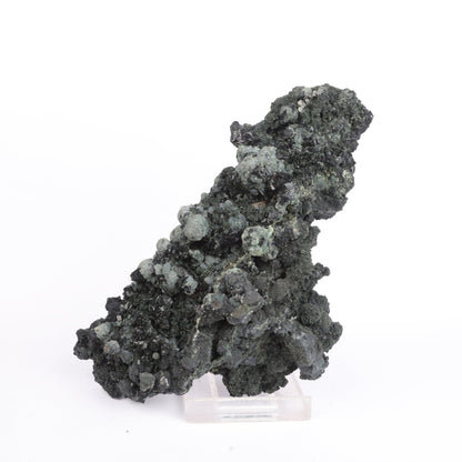 Julgoldite with Babingtonite Rare Found Natural Mineral Specimen # B 6623 Julgoldite, Babingtonite Superb Minerals 