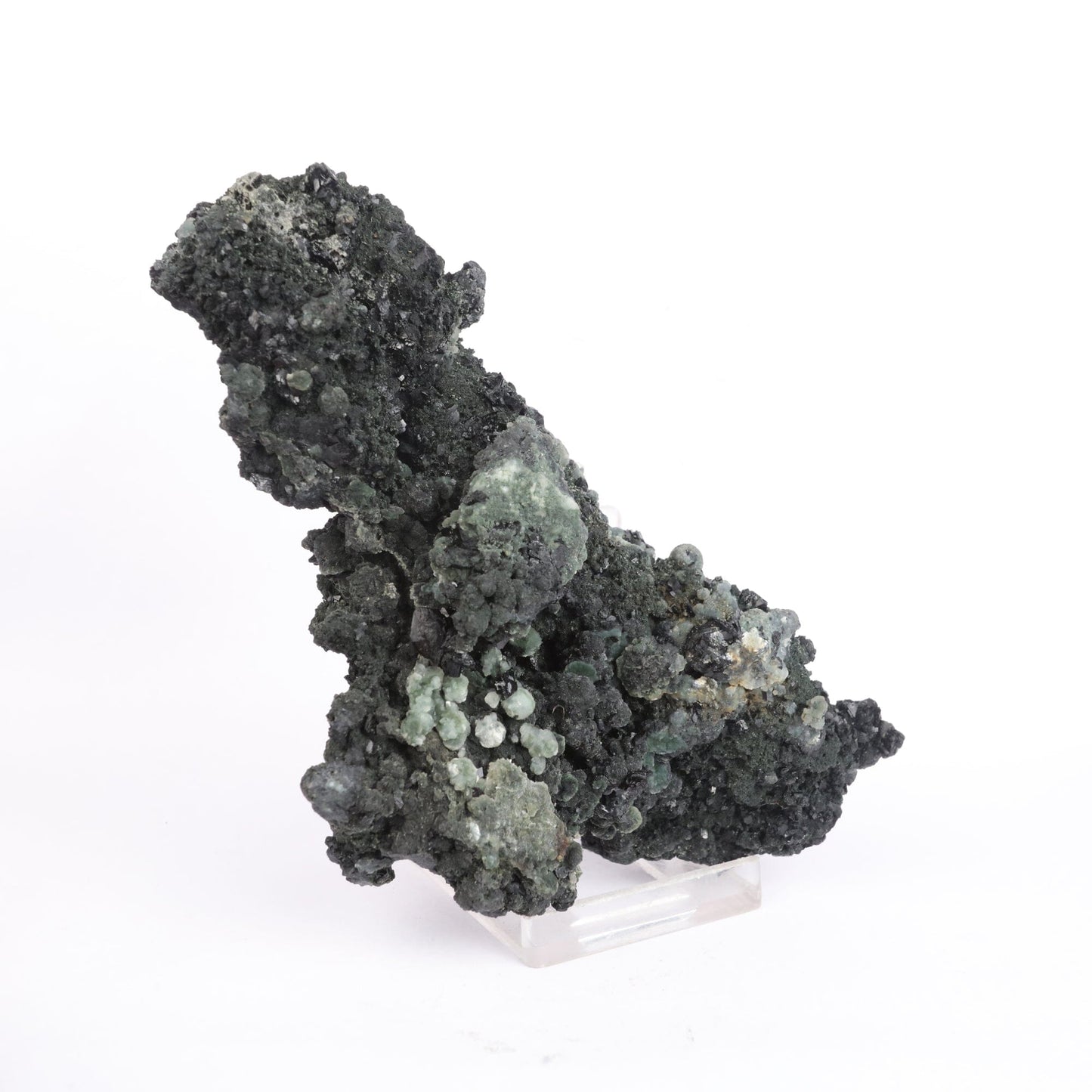 Julgoldite with Babingtonite Rare Found Natural Mineral Specimen # B 6623 Julgoldite, Babingtonite Superb Minerals 