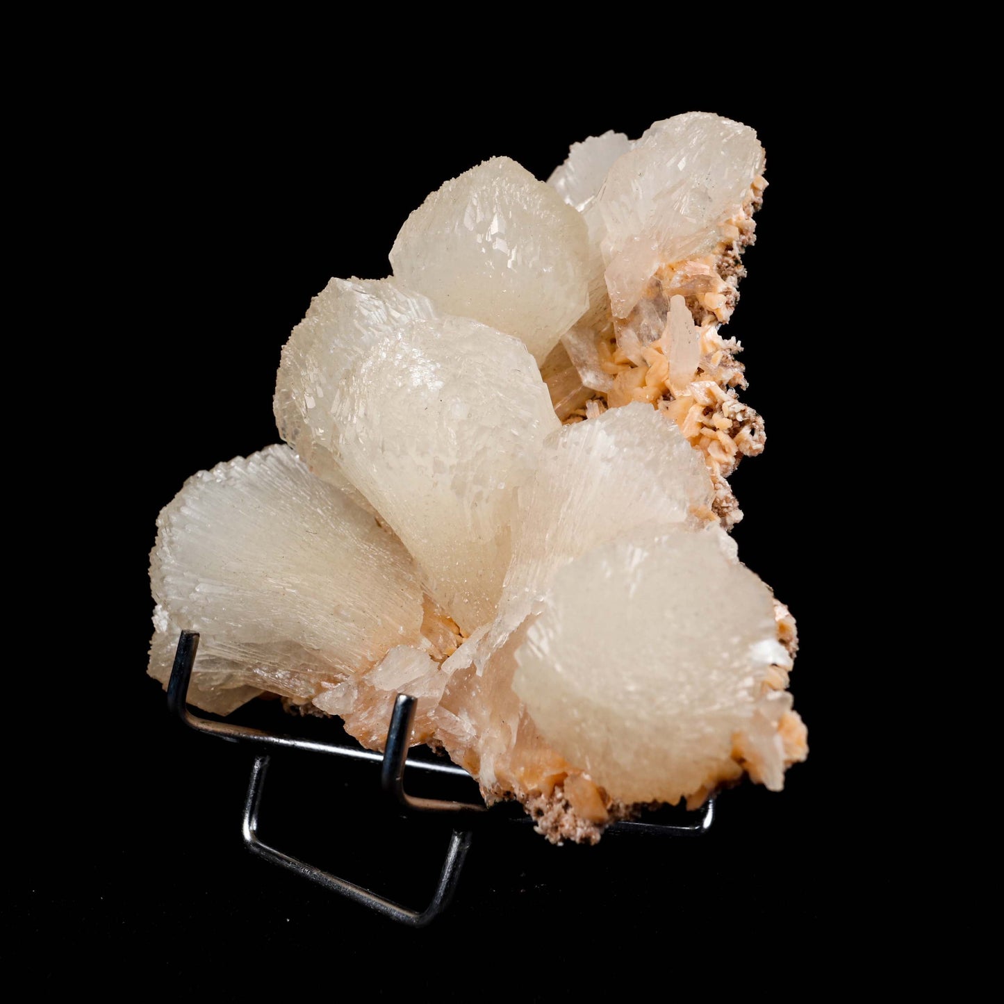 lustrous Terminated Stilbite Natural Mineral Specimen # B 4989  https://www.superbminerals.us/products/lustterorus-terminated-stilbite-natural-mineral-specimen-b-4989  Features:&nbsp;Featuring many excellent quality bladed groups of Stilbite in a soft white hue, resting over pearly stalactitic formations of peach colored Heulandite, this piece is a stunning example of the material. The sculpture is really flashy and three-dimensional, and I particularly like how the Stilbites