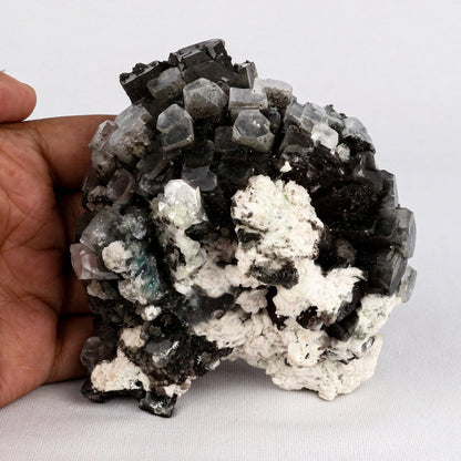 Marshy Apophyllite Natural Mineral Specimen# B 5350 Apophyllite Superb Minerals 