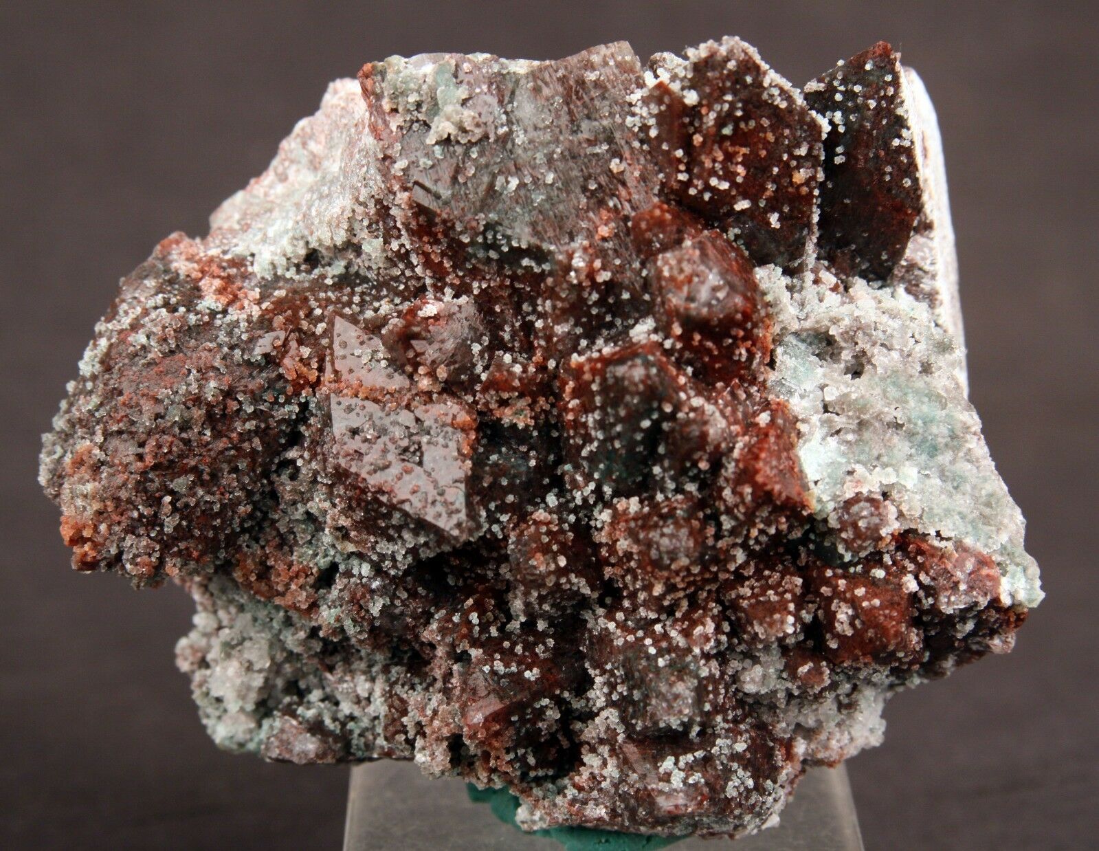 Marshy Apophyllite Pointed Crystals Natural Minerals Specimen # B 1360  https://www.superbminerals.us/products/marshy-apophyllite-pointed-crystals-natural-minerals-specimen-b-1360  Features: A very aesthetic specimen which has a flower shaped cluster of radiating marshy green apophyllite crystals occuring on a base of brown prismatic crystals of Apophylite. Green color of apophylite is due to inclusions of celadonite and whereas&nbsp; brown color of the apophylite is the result of haematite