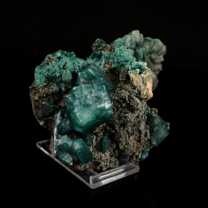 Marshy Apophyllite with Stilbite Natural Mineral Specimen # B 6566 Marshy Apophyllite Superb Minerals 