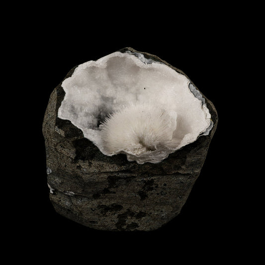 Mesolite Inside Chalcedony Geode Natural Mineral Specimen # B 6164 Mesolite Superb Minerals 