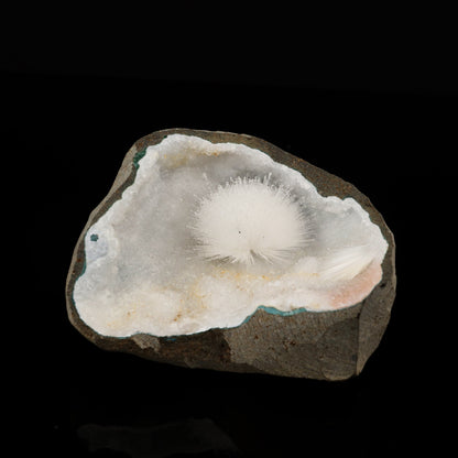 Mesolite Inside MM Quartz Geode Natural Mineral Specimen # B 5640 Mesolite Superb Minerals 