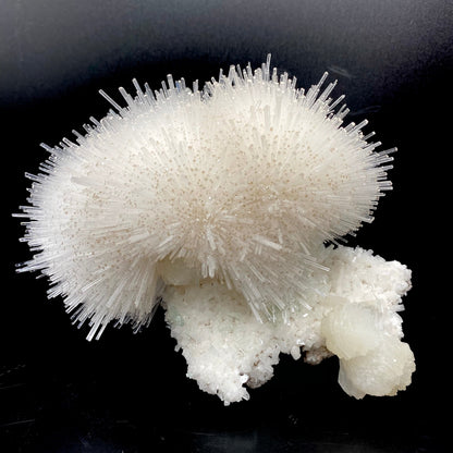 Truly impressive mesolite needles in a gorgeous hemispherical porcupine quill spray, formed with stilbite and green apophyllite on a mordenite matrix. Very delicate museum-grade specimen.