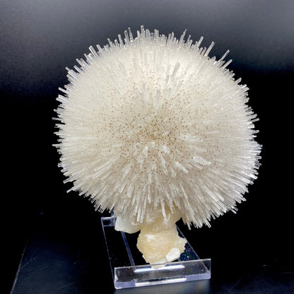 An impressive and gorgeous hemispherical porcupine quill spray composed of glassy mesolite needles with calcite tips, resembling a delicate white cotton ball, is elegantly displayed on a stand. Its visual impact is truly breathtaking. Stilbite composes the base.