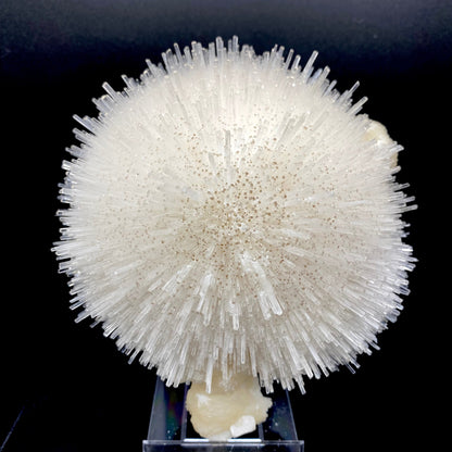 An impressive and gorgeous hemispherical porcupine quill spray composed of glassy mesolite needles with calcite tips, resembling a delicate white cotton ball, is elegantly displayed on a stand. Its visual impact is truly breathtaking. Stilbite composes the base.