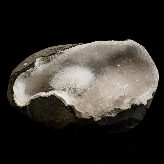 Mesolite Porcupine Spray inside MM Quartz Geode Natural Mineral Speci…  https://www.superbminerals.us/products/mesolite-porcupine-spray-inside-mm-quartz-geode-natural-mineral-specimen-b-5055  Features: Very fine Mesolite needle-like soft threads are in the geode of quartz. A beautiful blend of small crystals of shiny quartz and black geode. Primary Mineral(s): MesoliteSecondary Mineral(s): N/AMatrix: N/A 4 Inch x 2.5 InchWeight : 521 GmsLocality: Pune, Maharashtra, India Year of Discovery: 2021