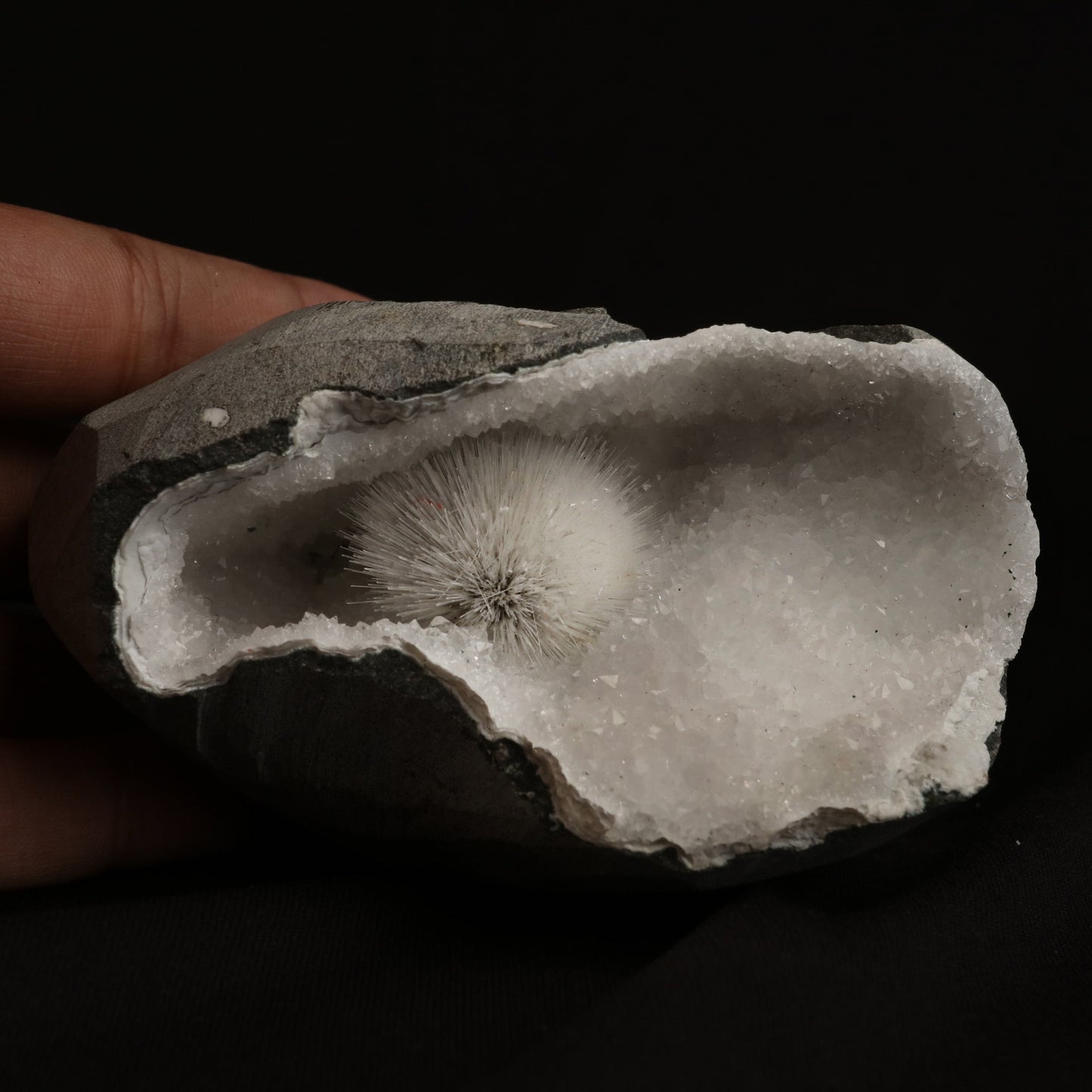 Mesolite Porcupine Spray inside MM Quartz Geode Natural Mineral Speci…  https://www.superbminerals.us/products/mesolite-porcupine-spray-inside-mm-quartz-geode-natural-mineral-specimen-b-5055  Features: Very fine Mesolite needle-like soft threads are in the geode of quartz. A beautiful blend of small crystals of shiny quartz and black geode. Primary Mineral(s): MesoliteSecondary Mineral(s): N/AMatrix: N/A 4 Inch x 2.5 InchWeight : 521 GmsLocality: Pune, Maharashtra, India Year of Discovery: 2021