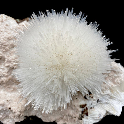 Mesolite white ball on Mordenite Natural Mineral Specimen # DK190 Mesolite Superb Minerals 