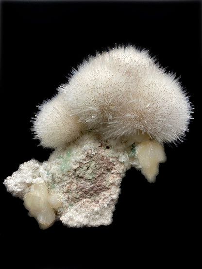 Mesolite flower formation with calcite tips, green apophyllite, and stilbite inclusions. Museum quality natural mineral specimen from Nasik, Maharashtra, India on the Deccan Plateau.