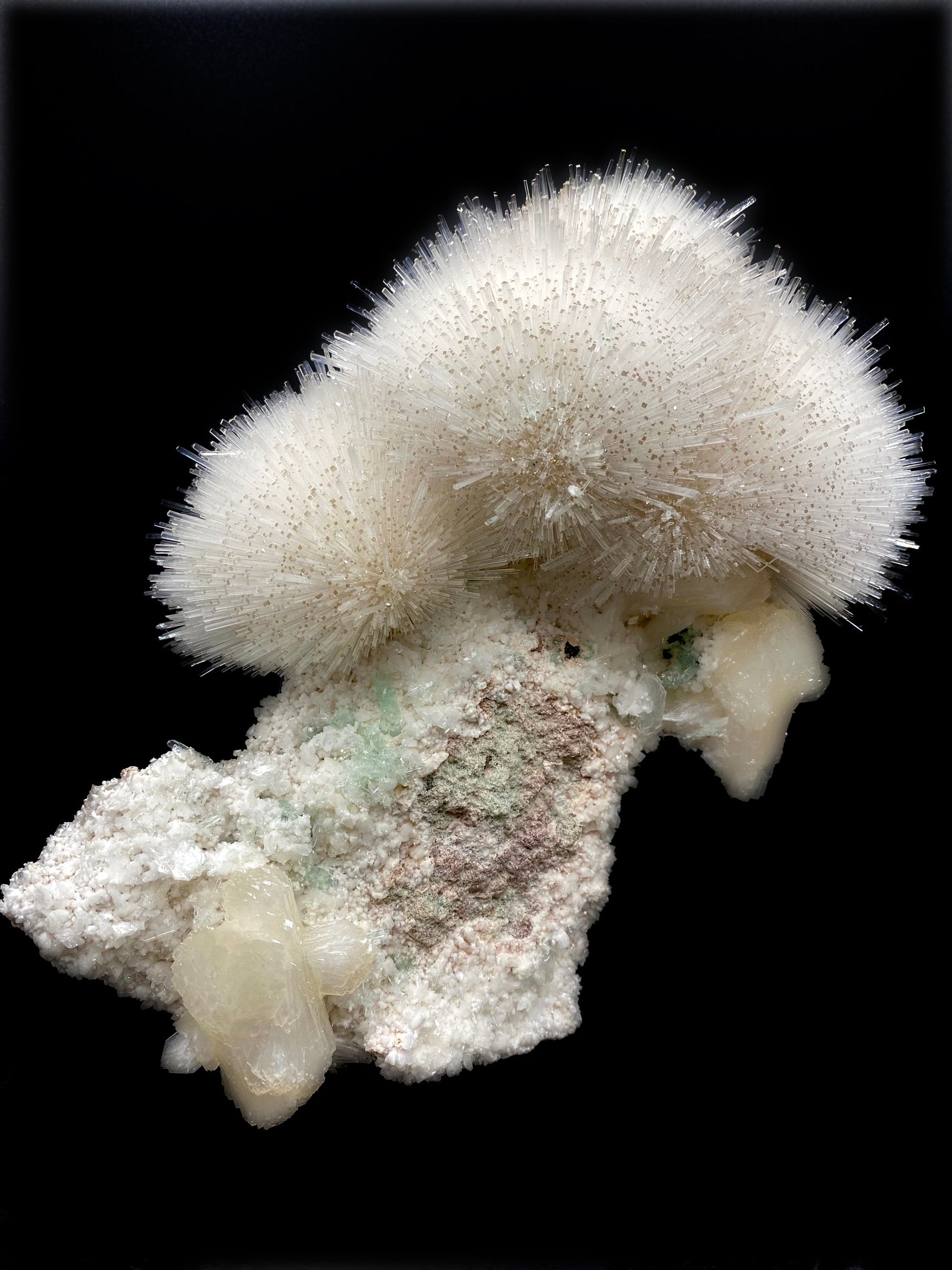 Mesolite flower formation with calcite tips, green apophyllite, and stilbite inclusions. Museum quality natural mineral specimen from Nasik, Maharashtra, India on the Deccan Plateau.