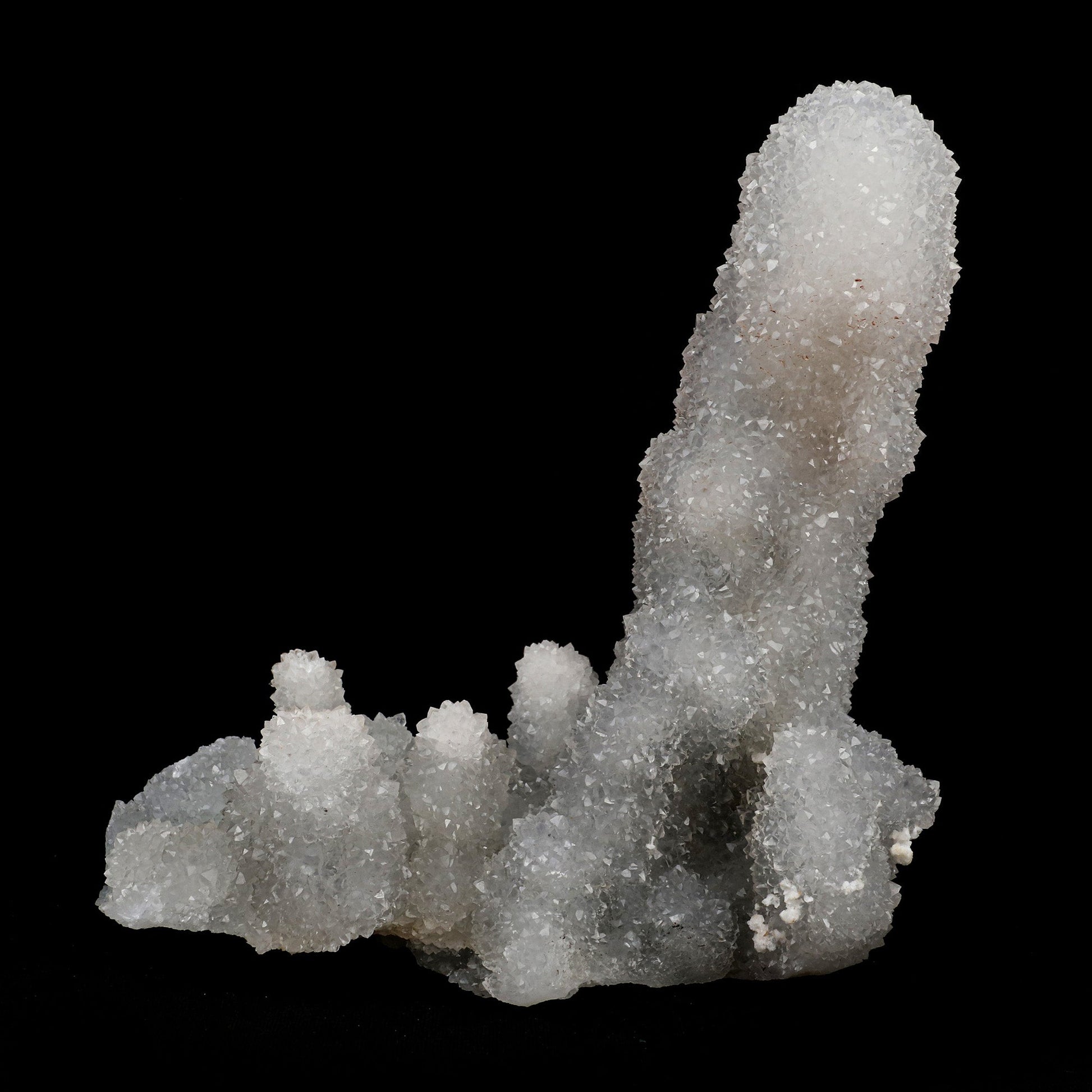MM Quartz Coral Formation Natural Mineral Specimen # B 5164  https://www.superbminerals.us/products/mm-quartz-coral-formation-natural-mineral-specimen-b-5164  Features: The specimen is made up of drusy milky Quartz that has pseudomorphed following scalenohedral Calcite crystals.The item is crystallised nearly all the way around, with no matrix and only a few small points of attachment, and is thus on the verge of becoming a complete "floater."This type of specimen is quite