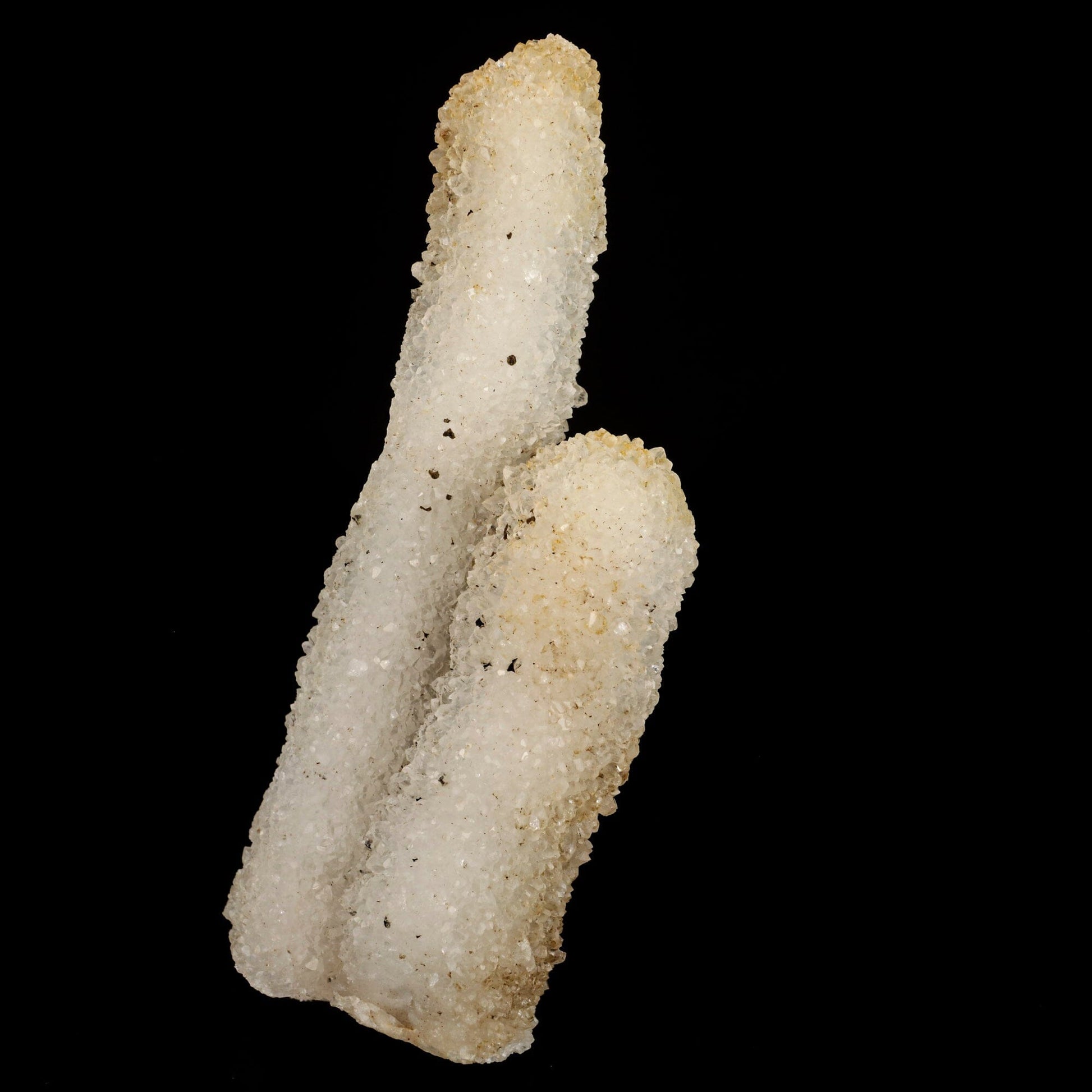 MM Quartz Coral Formation Natural Mineral Specimen # B 6541 Goosecreekite Superb Minerals 