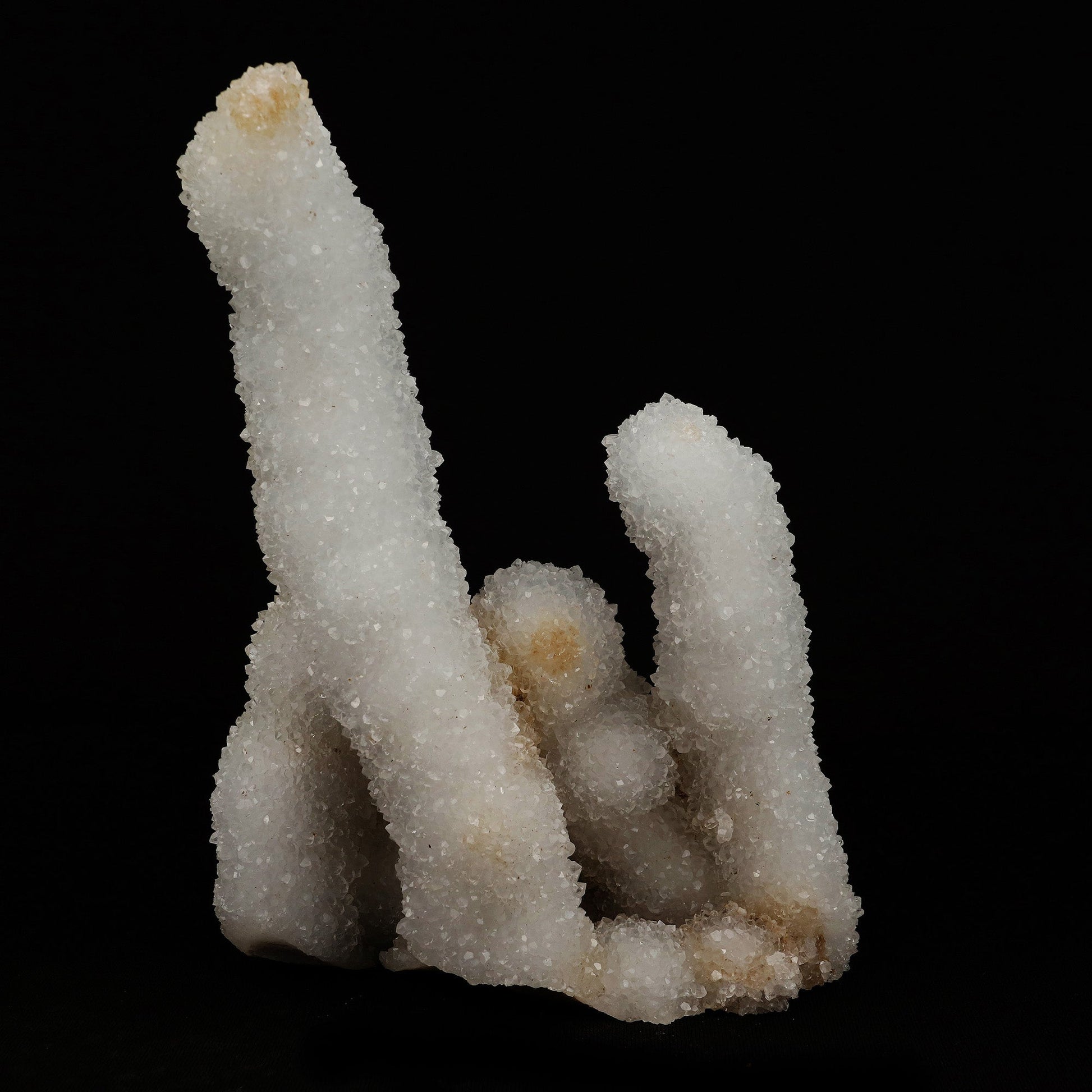 MM Quartz Stalacite Coral Formation Natural Mineral Specimen # B 5203  https://www.superbminerals.us/products/mm-quartz-stalacite-coral-formation-natural-mineral-specimen-b-5203  Features: Scolecite forms in clusters of sharp, prismatic, “needle-like” points, which often radiate outward from a source, or, alternatively, criss-cross with each other to form sculptures that are truly a natural art form. Scolecite is mainly found in India, although there are also deposits of white scolecite 