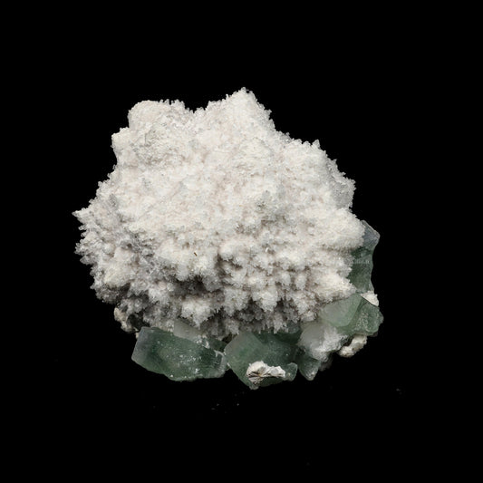Mordenite with Green Apophyllite Natural Mineral Specimen # B 5282  https://www.superbminerals.us/products/mordenite-with-green-apophyllite-natural-mineral-specimen-b-5282  Features: The specimen features a grouping of spiky white mordenite crystals almost&nbsp; coming off a matrix of gemmy blocky green apophyllite crystals. This specimen displays excellent crystallization throughout. Primary Mineral(s): Mordenite Secondary Mineral(s): Green ApophylliteMatrix: N/A 5 Inch x 5