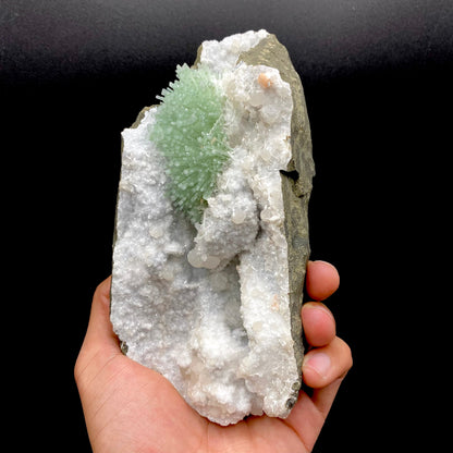 Green natrolite needle-like prisms radiate out of a millimeter quartz matrix, highly contrasted against the dark-gray basalt host rock.