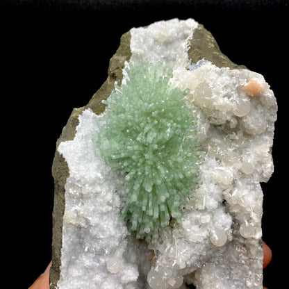 Green natrolite needle-like prisms radiate out of a millimeter quartz matrix, highly contrasted against the dark-gray basalt host rock.