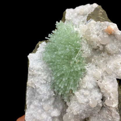 Green natrolite needle-like prisms radiate out of a millimeter quartz matrix, highly contrasted against the dark-gray basalt host rock.