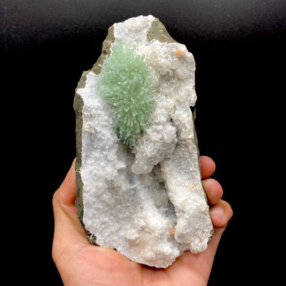Natrolite Green on MM Quartz Super Rare Natural Mineral Specimen # DK197 Natrolite Superb Minerals 