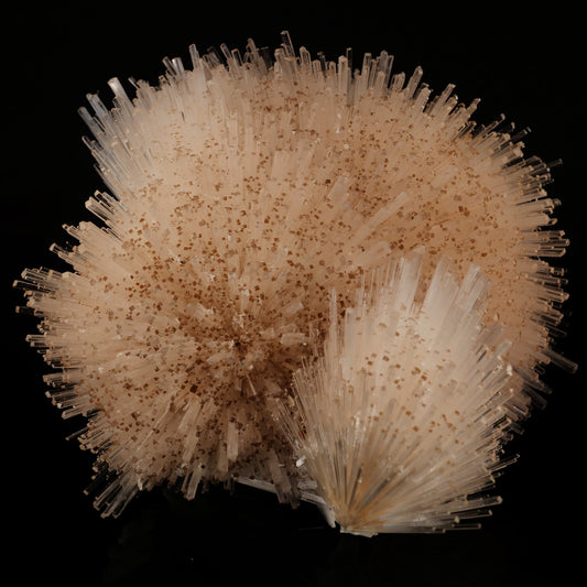 Natrolite Spray Natural Mineral Specimen # B 6049 Natrolite Superb Minerals 