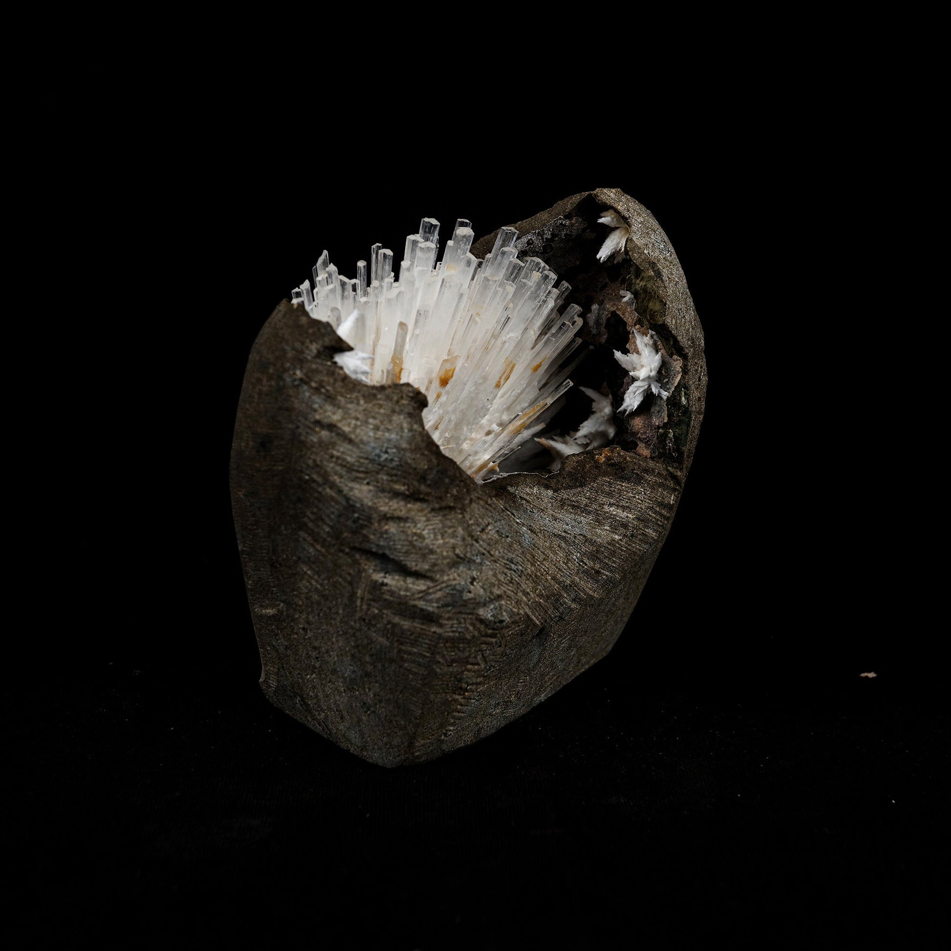 Natrolite Sprays Inside Chalcedony Geode Natural Mineral Specimen # B…  https://www.superbminerals.us/products/natrolite-sprays-inside-chalcedony-geode-natural-mineral-specimen-b-5160  Features: Aesthetically situated in completely hollow basaltic vug, a diverging spray of gemmy, lustrous, Natrolite crystals to 3.5 inch in length emanate from a druse of sugary white Chalcedony. Although a few Natrolite crystals do span the vug and are attached to the ceiling, the majority are visibly terminated. 