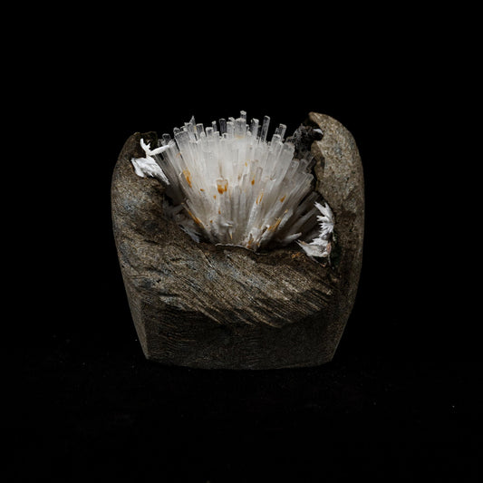 Natrolite Sprays Inside Chalcedony Geode Natural Mineral Specimen # B…  https://www.superbminerals.us/products/natrolite-sprays-inside-chalcedony-geode-natural-mineral-specimen-b-5160  Features: Aesthetically situated in completely hollow basaltic vug, a diverging spray of gemmy, lustrous, Natrolite crystals to 3.5 inch in length emanate from a druse of sugary white Chalcedony. Although a few Natrolite crystals do span the vug and are attached to the ceiling, the majority are visibly terminated. 
