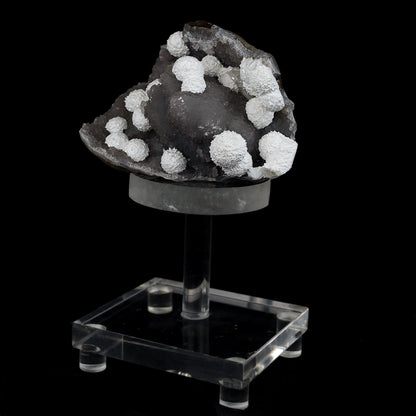 Okenite Balls on MM Quartz Natural Mineral Specimen # B 4439  https://www.superbminerals.us/products/okenite-balls-on-mm-quartz-natural-mineral-specimen-b-4439  Features: Beautiful snow-white puff balls of needle Okenite are scattered over all, In this stunning cavernous Chalcedony matrix. Such outstanding Okenite specimens. Primary Mineral(s): OkeniteSecondary Mineral(s): N/AMatrix: MM Quartz11 cm x 7 cm x 7 cmWeight : 310 Gms Locality: Mumbai, Maharashtra, 