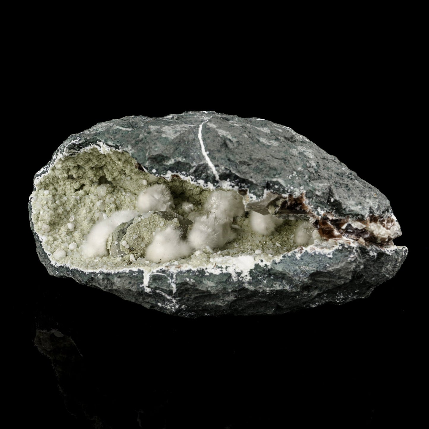 Okenite Big Puffballs Inside Chalcedony Geode Natural Mineral Specimen # B 5694 Okenite Superb Minerals 