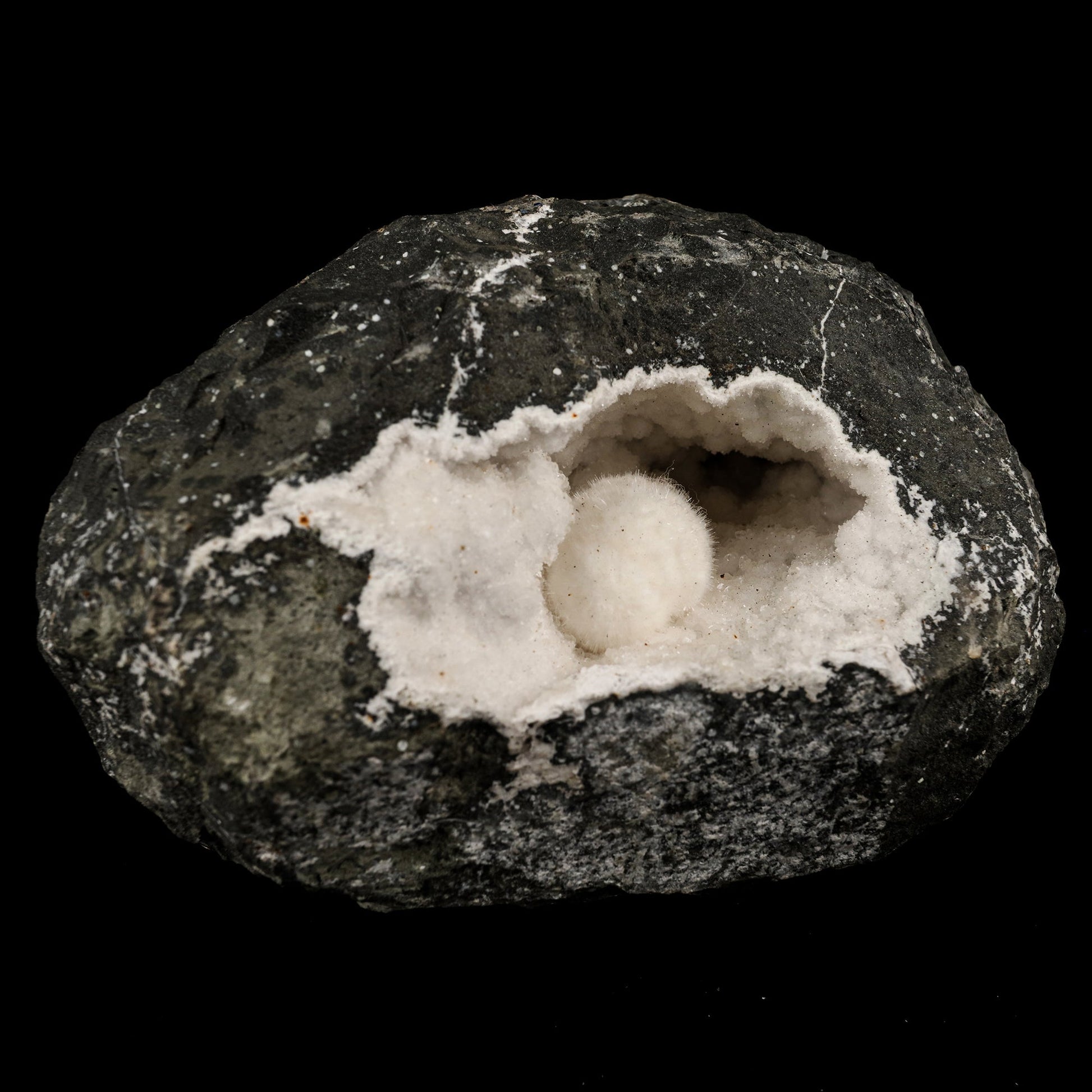Okenite Big Puffballs Inside Chalcedony Geode Natural Mineral Specimen # B 5817 Fluorite Superb Minerals 