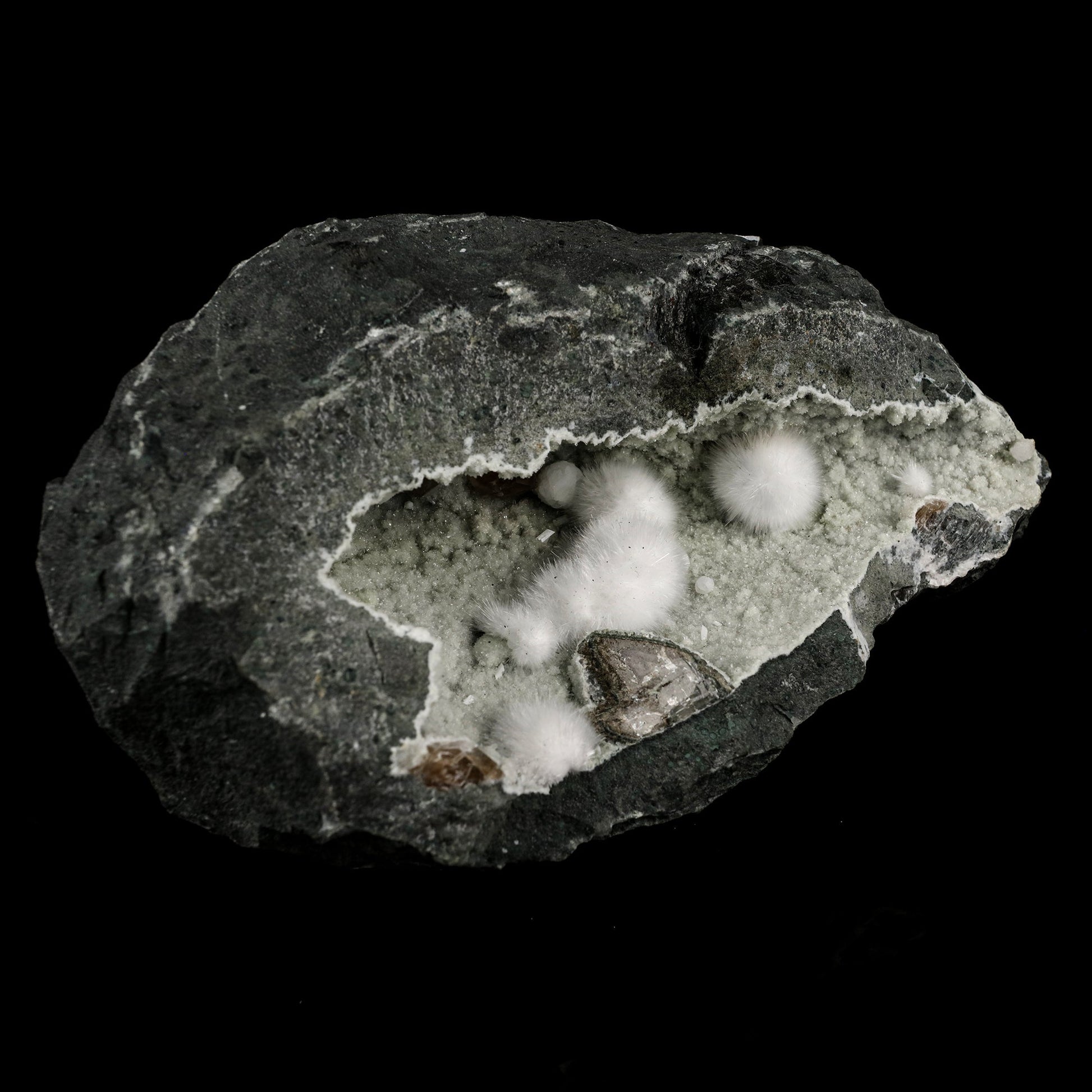 Okenite Big Puffballs Inside Chalcedony Geode Natural Mineral Specimen # B 6135 Okenite Superb Minerals 