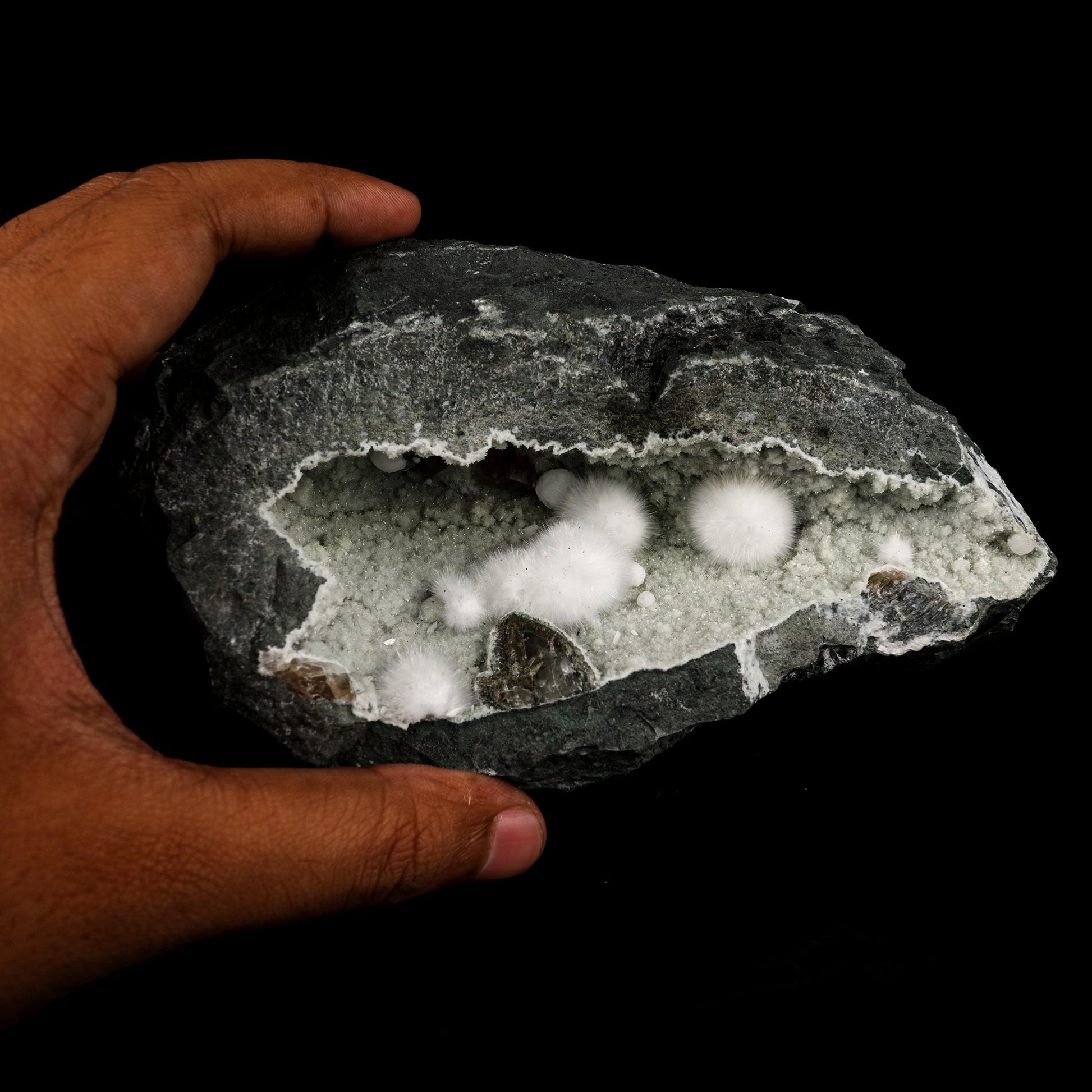 Okenite Big Puffballs Inside Chalcedony Geode Natural Mineral Specimen # B 6135 Okenite Superb Minerals 