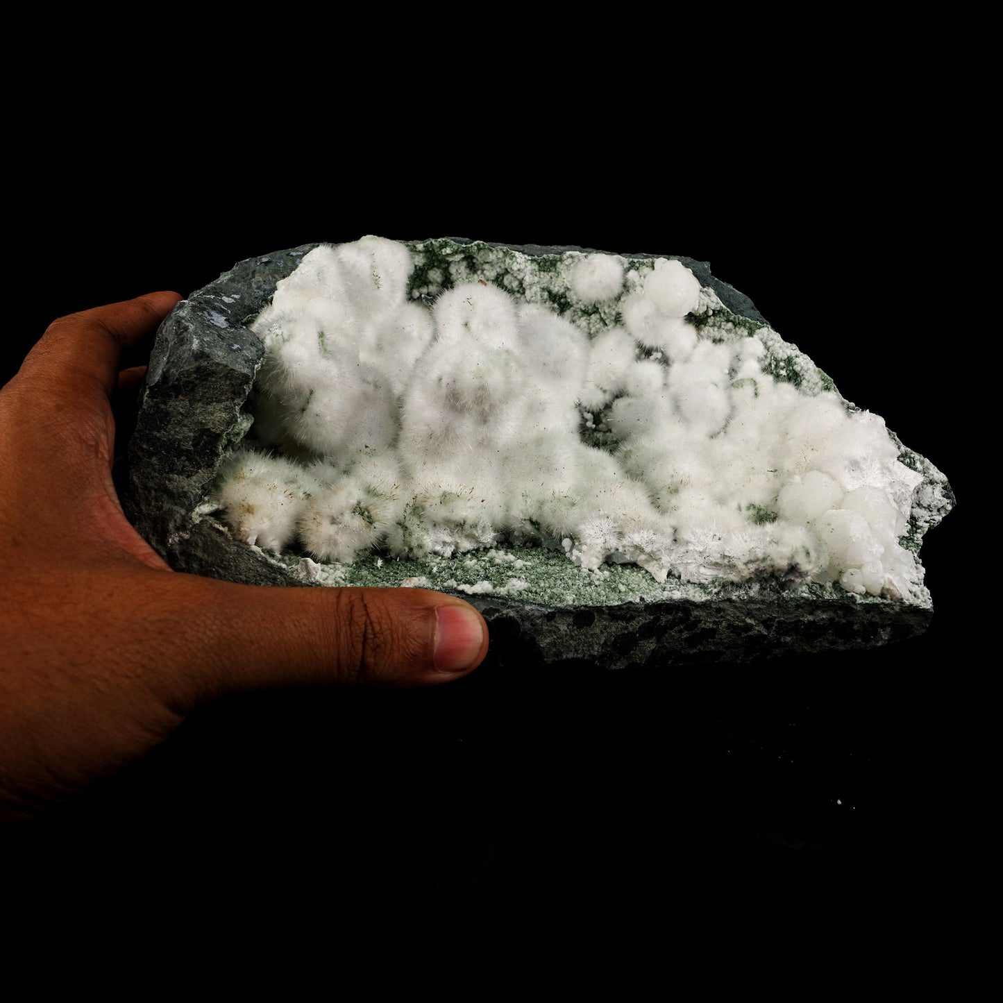 Okenite Big Puffballs Inside Chalcedony Geode Natural Mineral Specimen # B 6169 Okenite Superb Minerals 